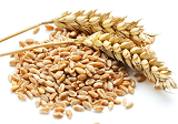 今日小麦价格多少？2021年4月9日小麦期货价格行情