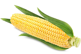 7月15日玉米期货实时行情 玉米期货价格走势