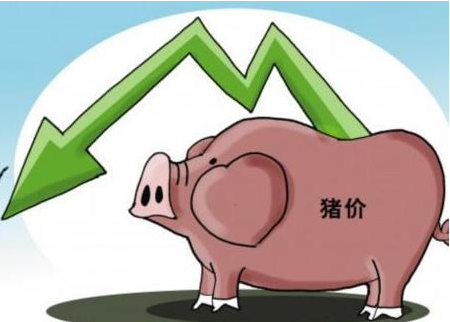 2021年生猪价格走势预测 猪价下行趋势不会改变