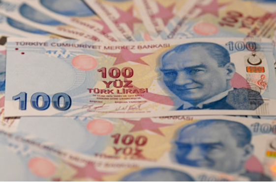 土耳其里拉年内贬值超50% 土耳其里拉贬值有什么影响？