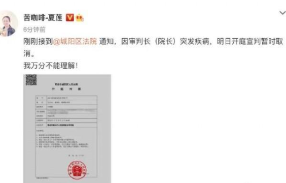 江歌母亲诉刘鑫案宣判暂时取消