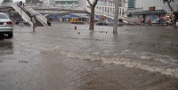 河南暴雨南阳临街商铺被淹 专家提醒减少外出 注意安全