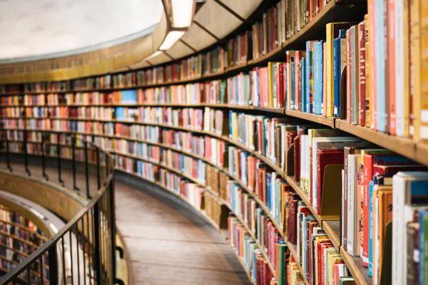 2022年图书零售行业现状 图书零售行业投资前景如何?