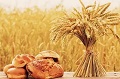 今日小麦价格是多少钱一斤 附加今日小麦价格一览（2022年7月1日）